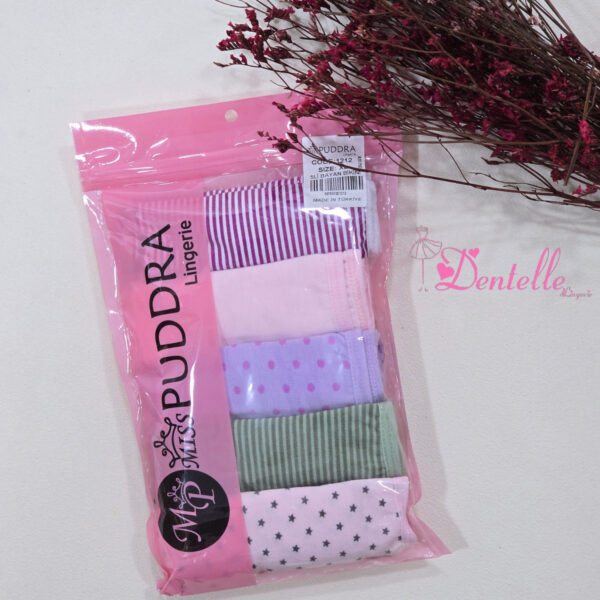 Culotte pack 5pcs 5007