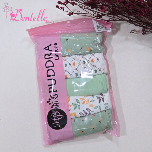 Culotte pack 5pcs 5008