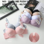 Soutien-gorge 2817