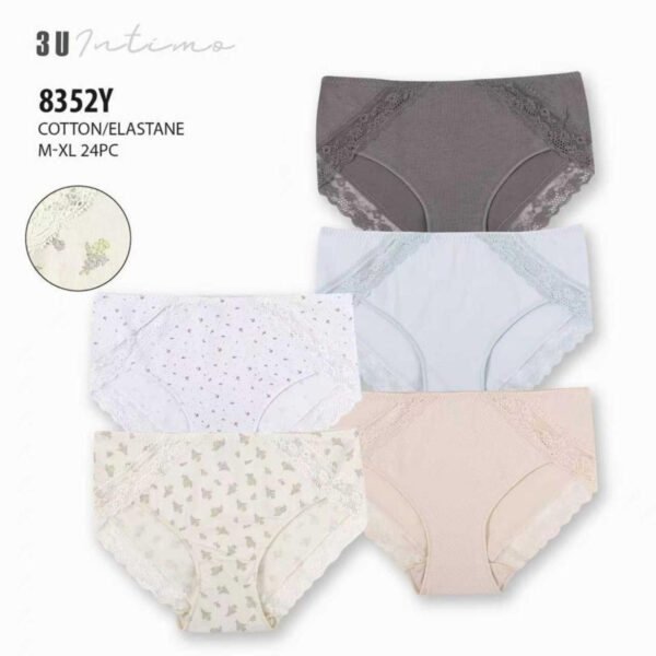 Culotte 8352Y