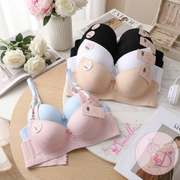 Soutien-gorge 13312