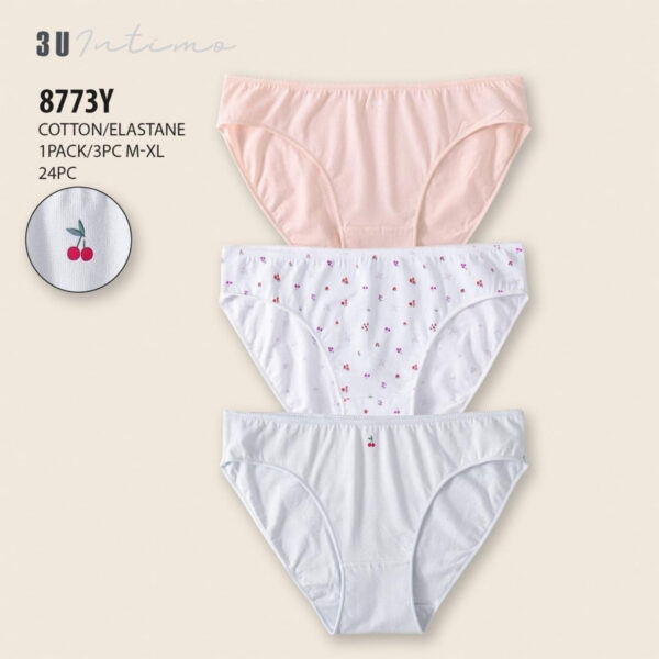 Culotte 8773Y pack 3pcs