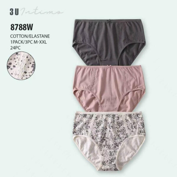 Culotte 8788W pack 3pcs