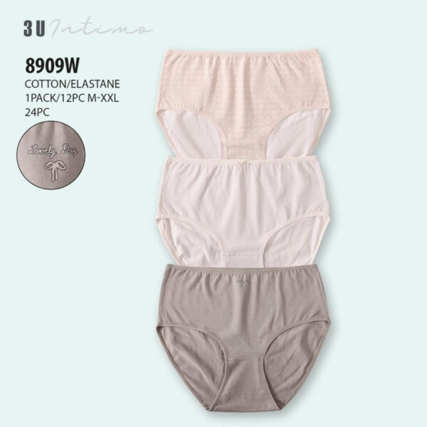 Culotte 8909W pack 3pcs