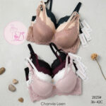 Soutien-gorge 2025